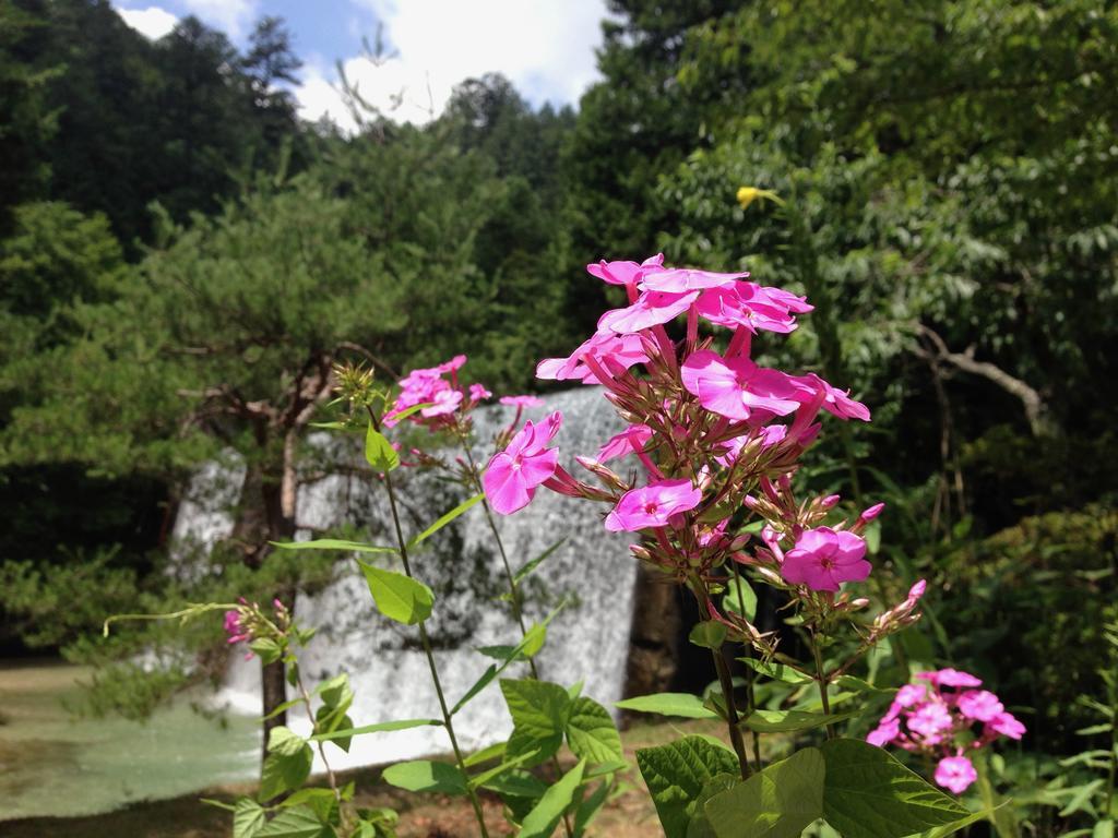 Takimi Onsen Inn That Only Accepts One Group Per Day Nagiso Exterior foto